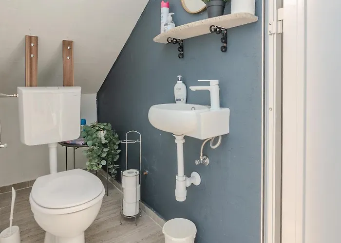 Barbara 5 By Guide Трибунь