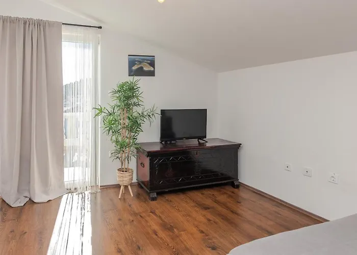 Barbara 5 By Guide Трибунь